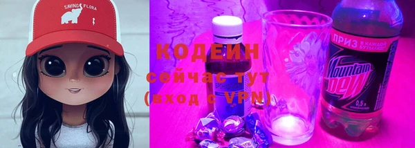 индика Дмитриев