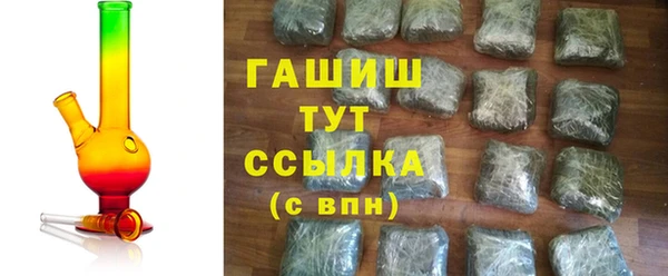 индика Дмитриев