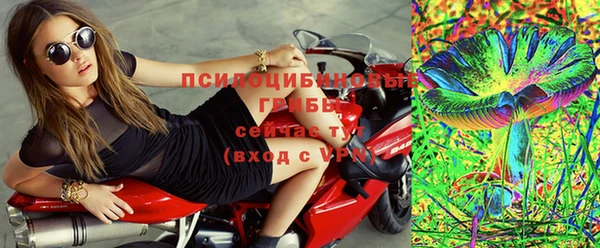 mdpv Ельня