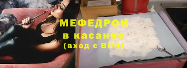 индика Дмитриев