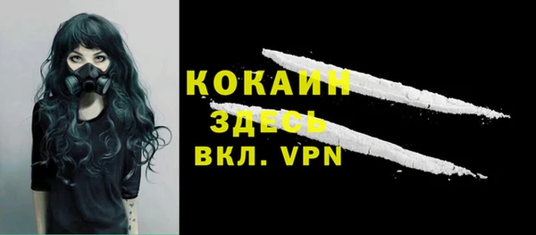 индика Дмитриев