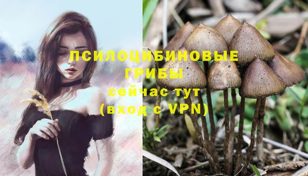 прущие крисы Дмитровск