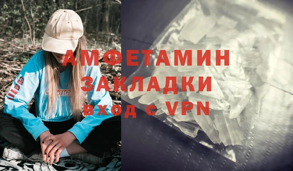 индика Дмитриев