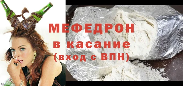 индика Дмитриев