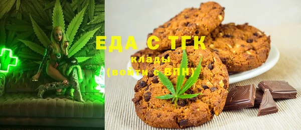 индика Дмитриев