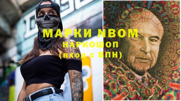 индика Дмитриев