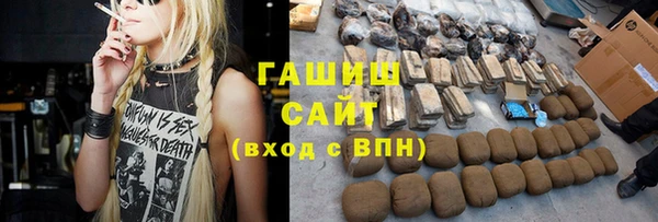 индика Дмитриев