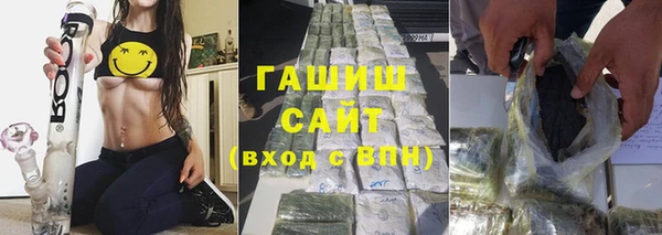 индика Дмитриев